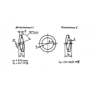 ГОСТ 6402-70 Шайбы пружинные